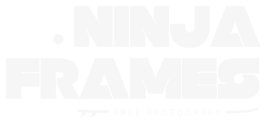 Ninja Frames Logo